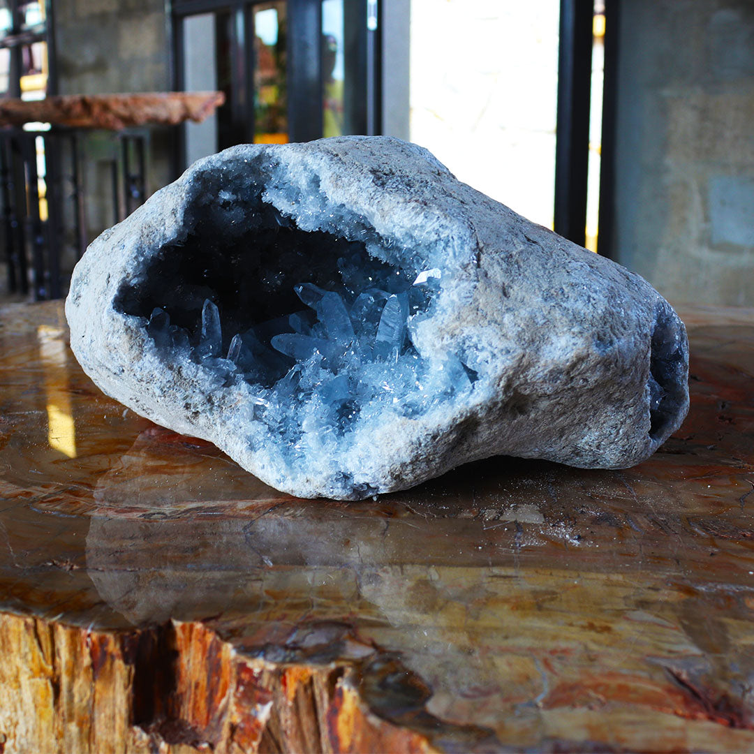 Celestites