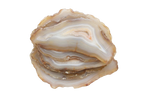 Agate Slices. Price per Kg