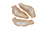 Agate Slices. Price per Kg
