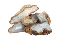 Agate - Banded - Block Rough. Price per Kg