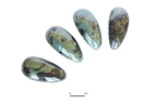 Crocodile Jasper Round Massage Tools. Price per Piece