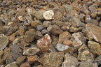 Agate - Ice - Block Rough. Price per Kg