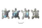 Labradorite Small Turtle Carvings - Price per Piece