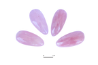 Rose Quartz Massage Tools. Price per Piece