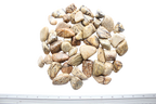 Zebradorite Tumble Stones. 1 Kg Bag
