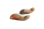Agate Handheld Massage Tools. Price per Piece
