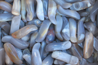 Agate Handheld Massage Tools. Price per Piece